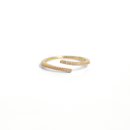 Anillo Saturnita