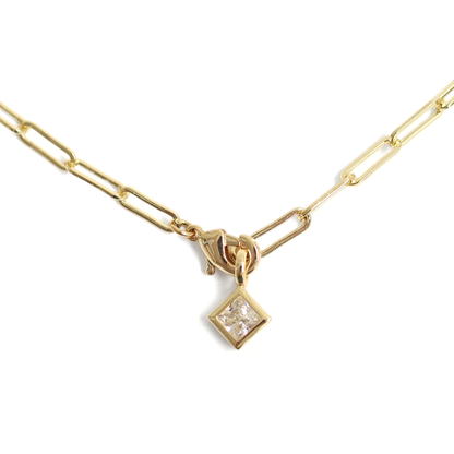 Collar Manifiesto