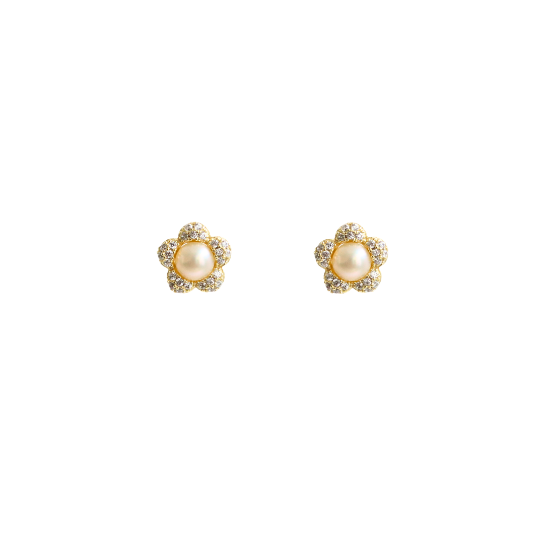 Arete Silver Gold Piam