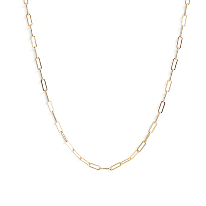 Collar Manifiesto