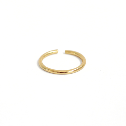 Anillo Delicate