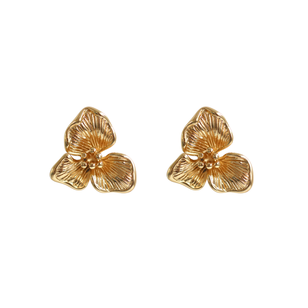 Arete Florencia
