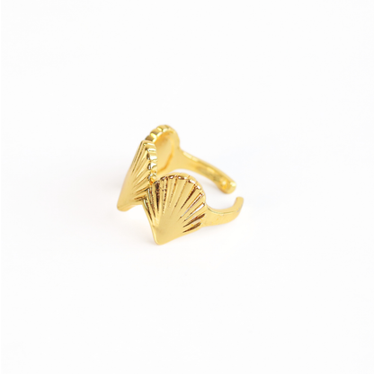 Anillo Coco