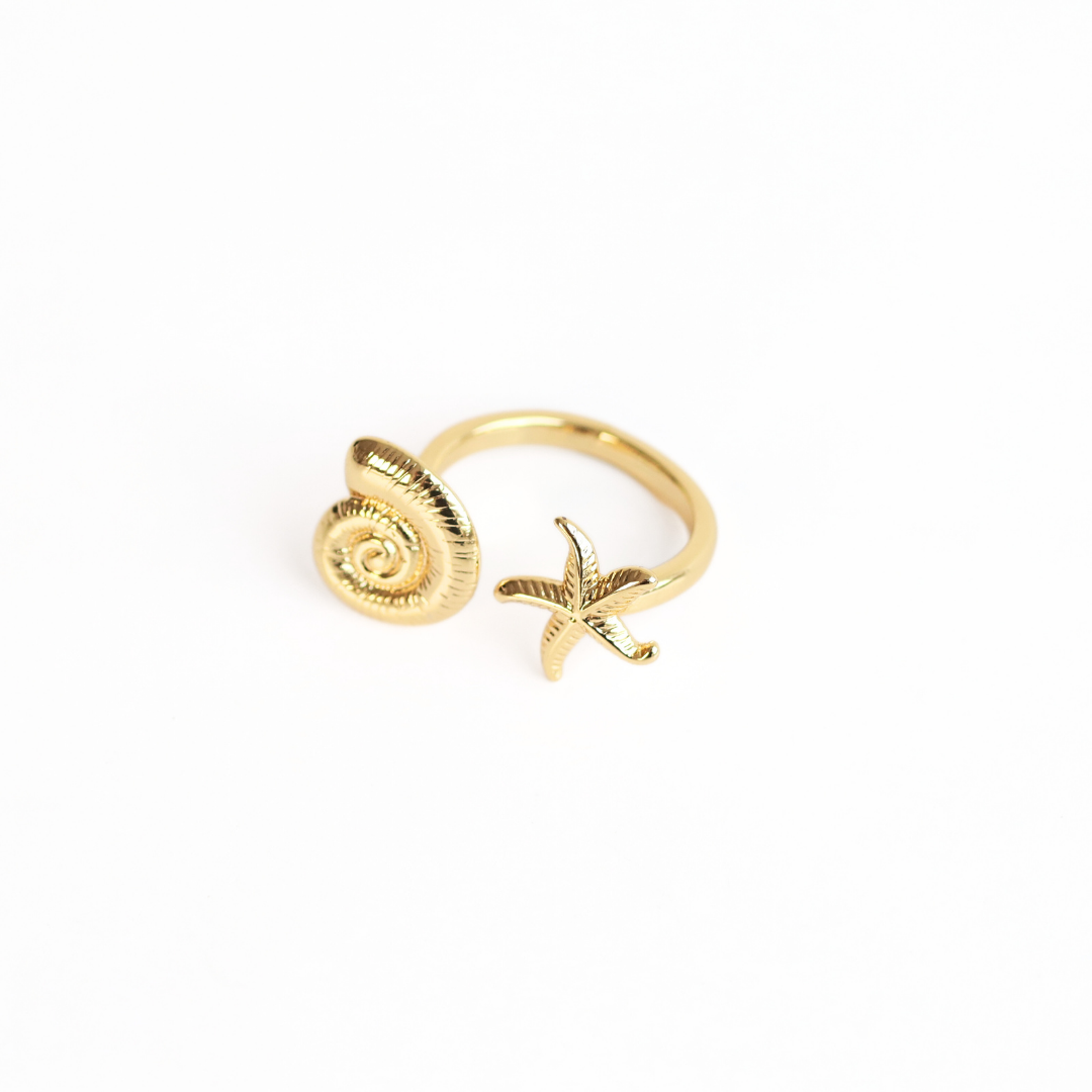 Anillo Duomar