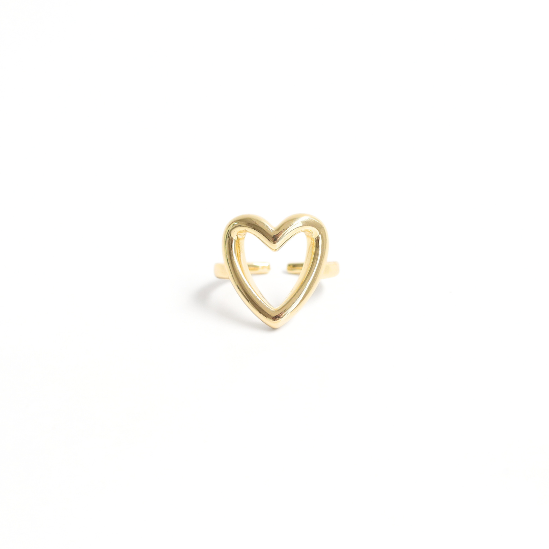 Anillo Leyci