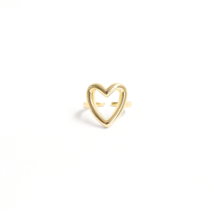 Anillo Leyci