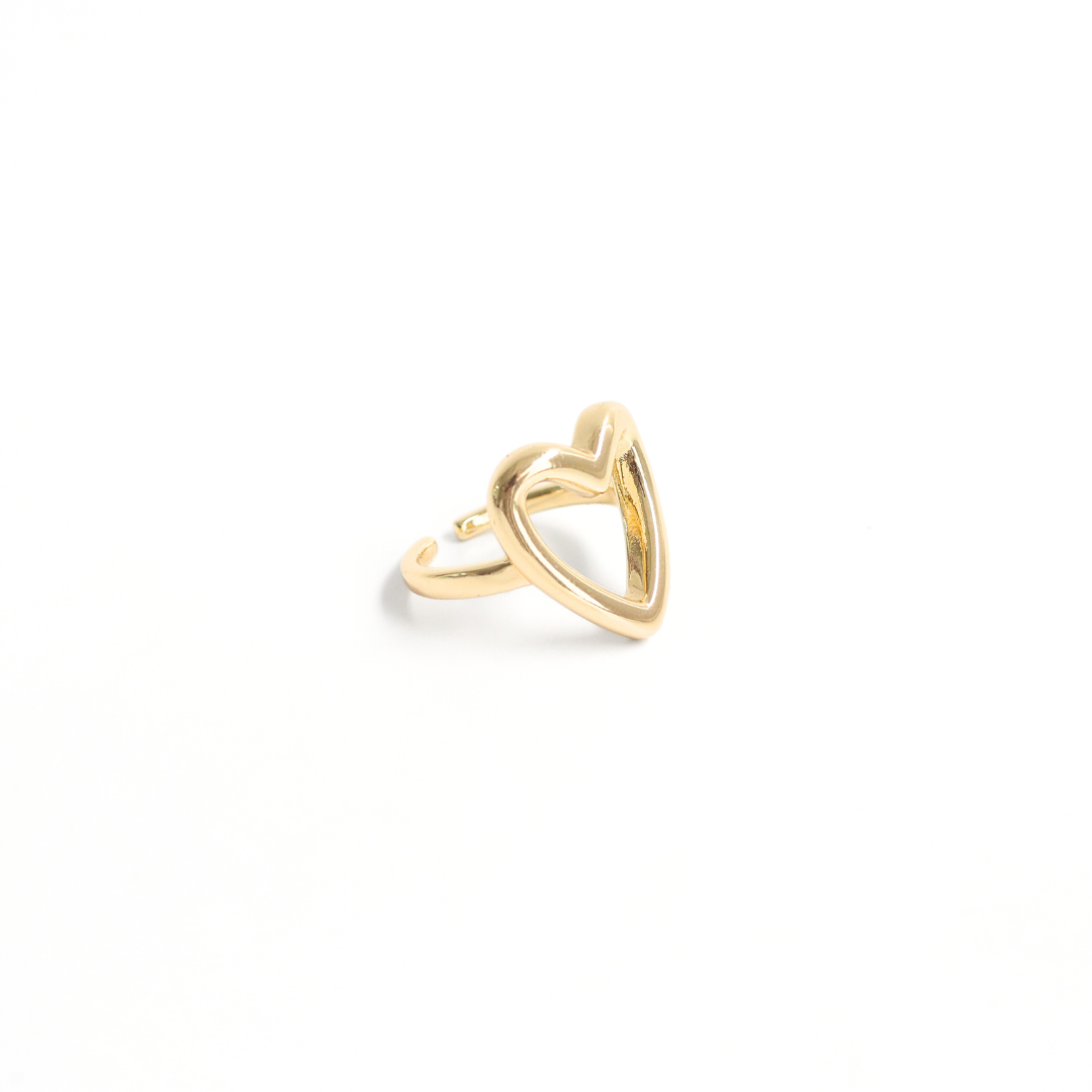Anillo Leyci