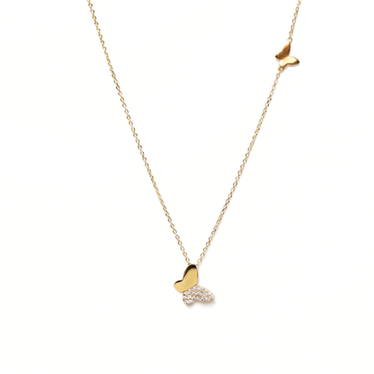Collar Dream