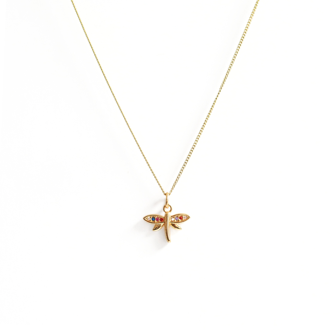 Collar Lively Colorful