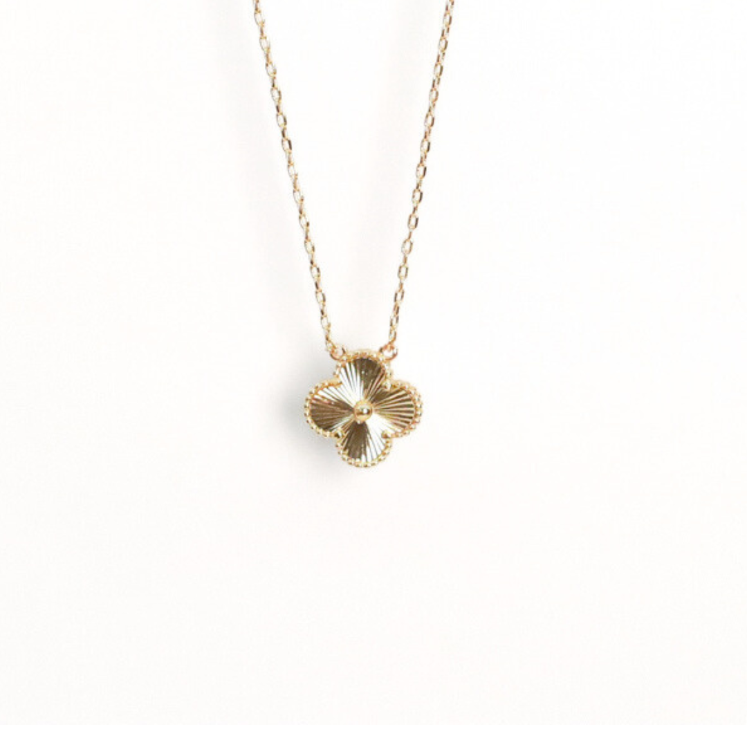 Collar Trendy	Osa Dorada