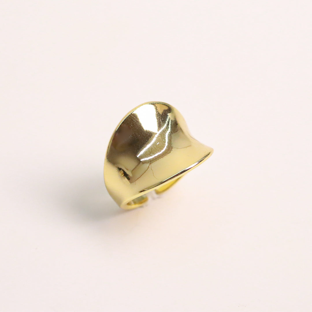Anillo