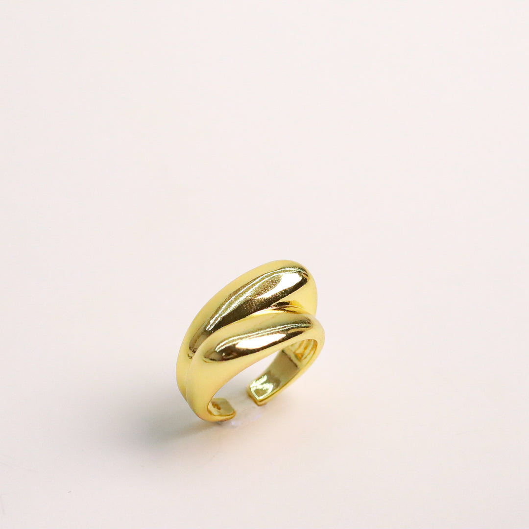 Anillo